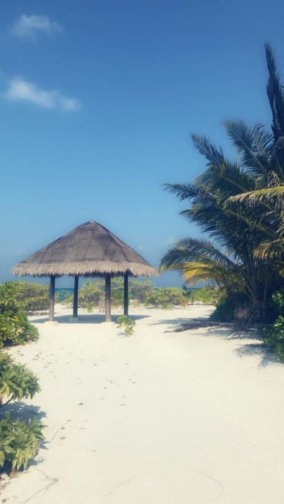 Strand Summer Island Maldives