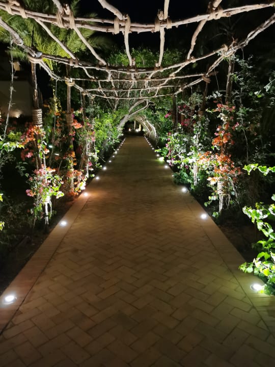 Gartenanlage Fort Arabesque Resort, Spa & Villas