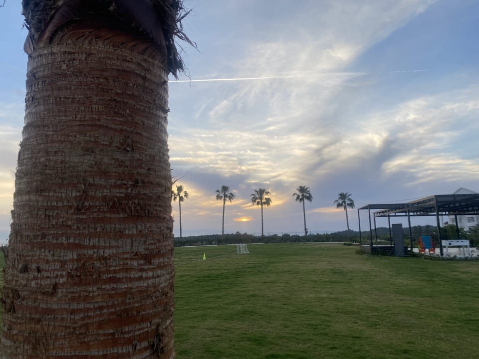 Gartenanlage Jacaranda Luxury Resort