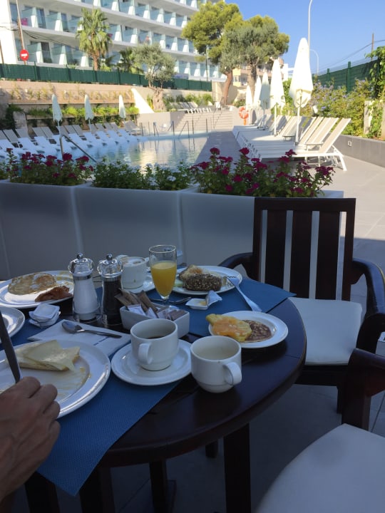 Gastro Reverence Life  - Adults only