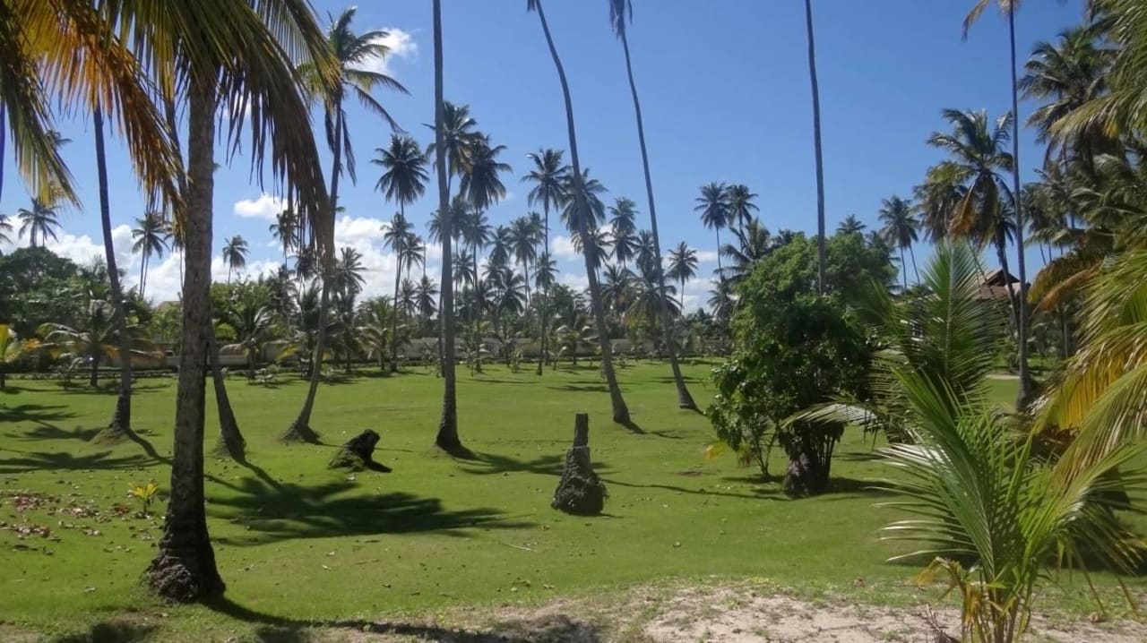Palmenwiese zwischen Hotelanlage und Strand Villas Bavaro Resort & Spa