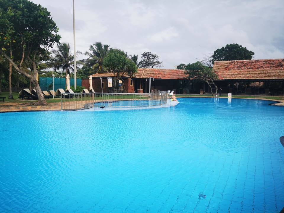 Pool Club Hotel Dolphin