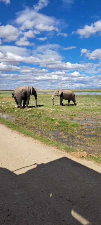 Sport & Freizeit Hotel Amboseli Sopa Lodge