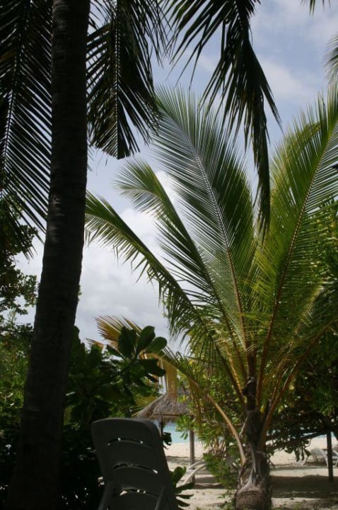 Blick vom Zimmer auf den Strand Summer Island Maldives