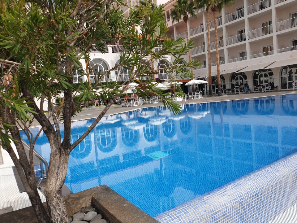 Pool Hotel Riu Madeira