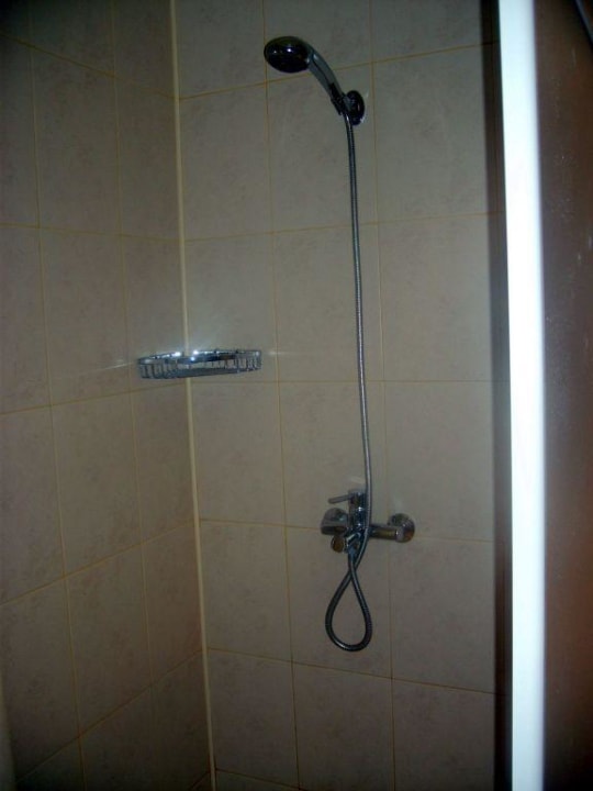 Shower Flamingo Hotel