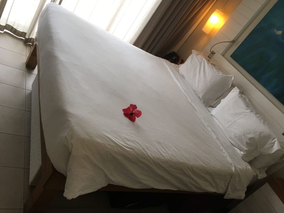 Zimmer Radisson Blu Poste Lafayette Resort & Spa - Adults only