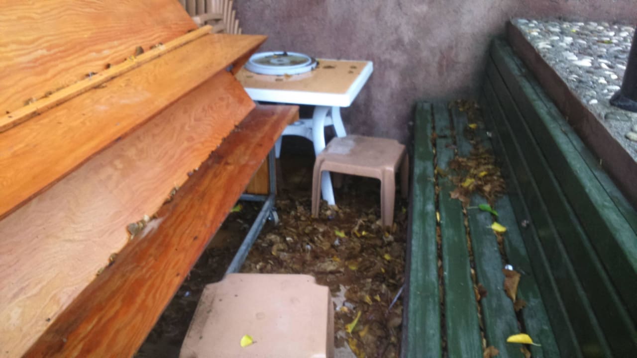 Róg snack baru Armas Gül Beach