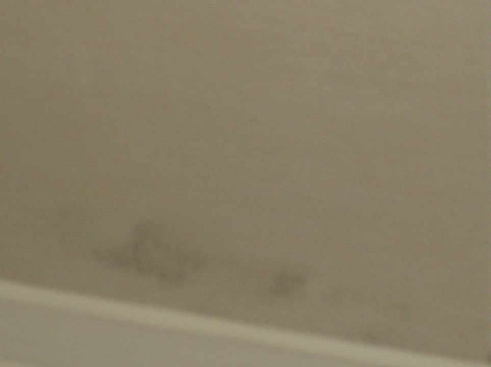 Schimmel Hane Family Resort