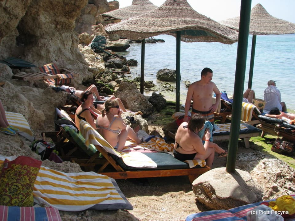 Duży ścisk na plaży hotelowej Dive Inn Resort