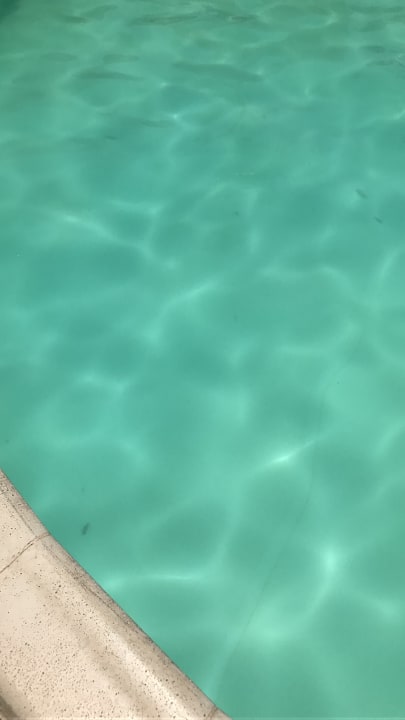 Pool Xanadu Club Makady Bay