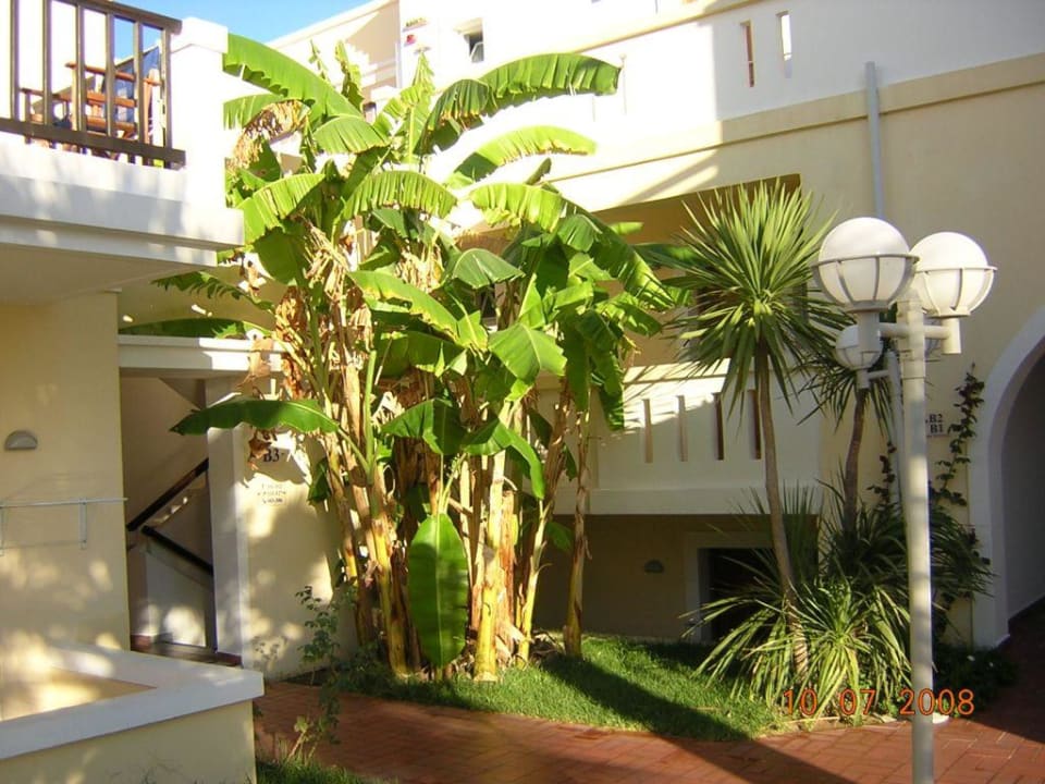 Hotelansicht zur Poolseite Hotel Aegean Houses