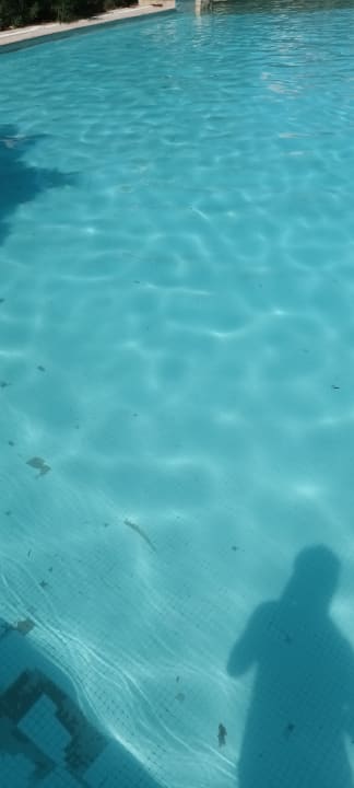 Pool Makadi Palace