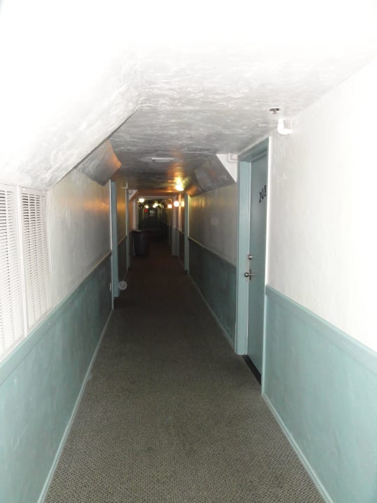 Flur Tropics Hotel Miami Beach