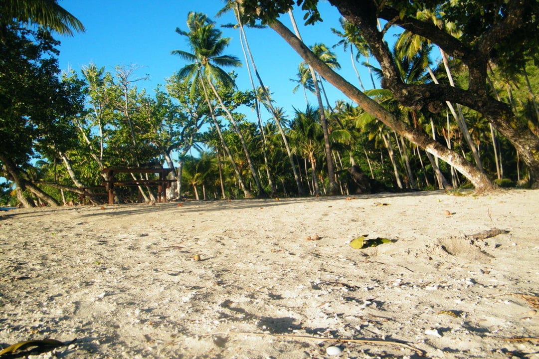 Plage Hotel Les Tipaniers