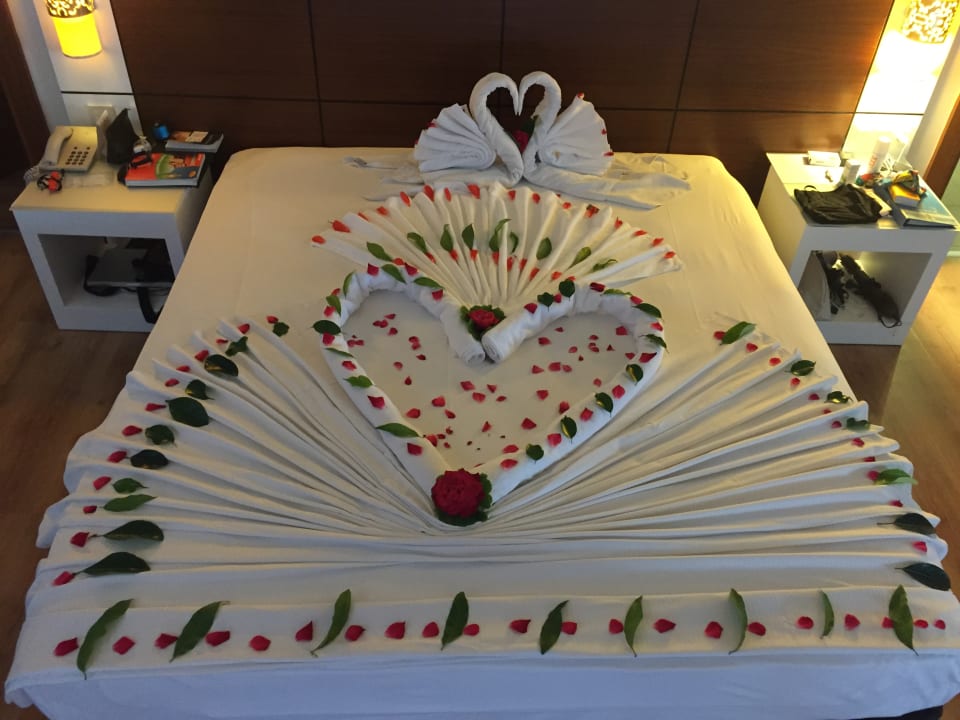 Zimmer Seaden Sea World Resort & Spa