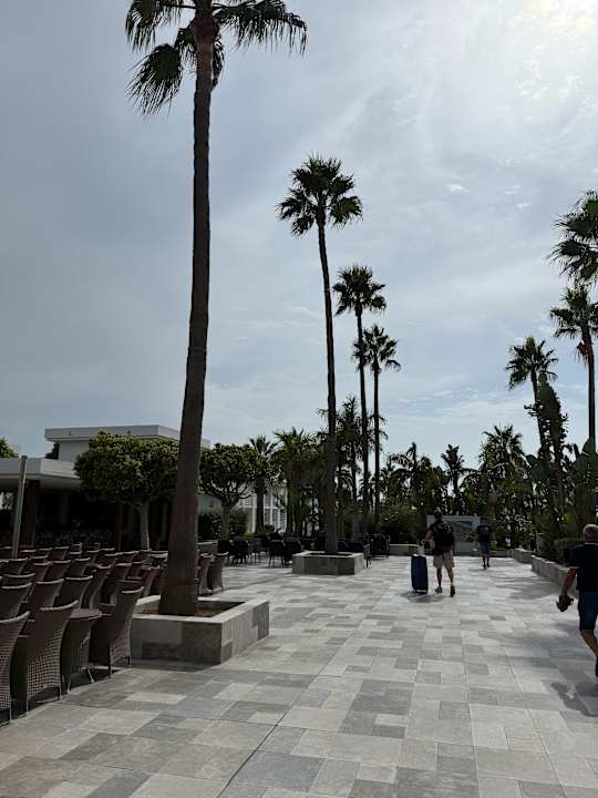 Gartenanlage Hotel Riu Chiclana