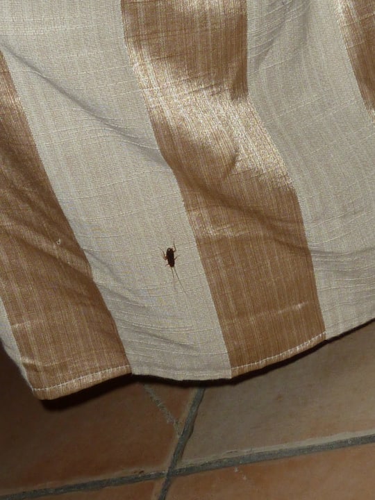 Mitbewohner Berjaya Beau Vallon Bay Resort & Casino