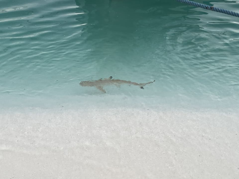 Strand Meeru Maldives Resort Island