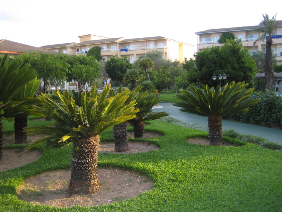 Innenhof Prinsotel La Dorada