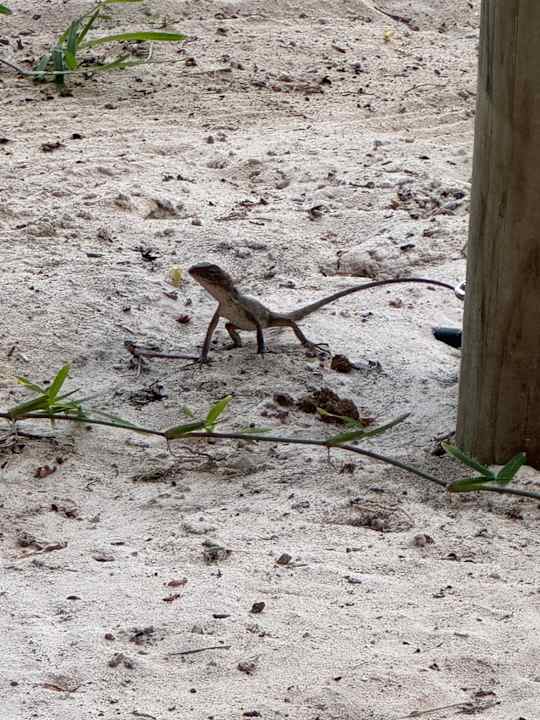 Außenansicht Crystals Beach Resort Belle Mare, a member of Radisson Individuals