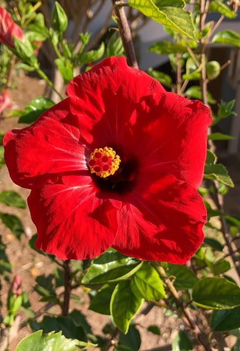 Außenansicht Fodele Beach & Water Park Holiday Resort