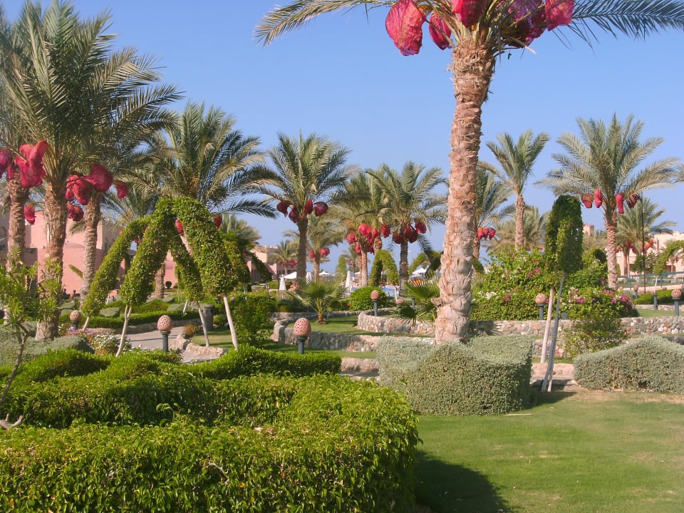 Sehr gepflegt Akassia Swiss Resort