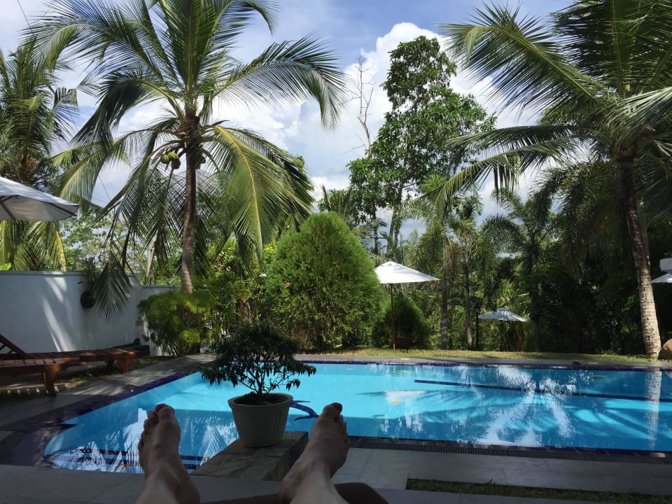 Blick vom Zimmer auf den Pool Villa Safira Ayurveda Residence