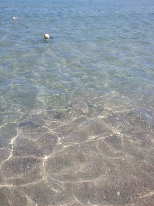 Klares Wasser TUI BLUE Samaya