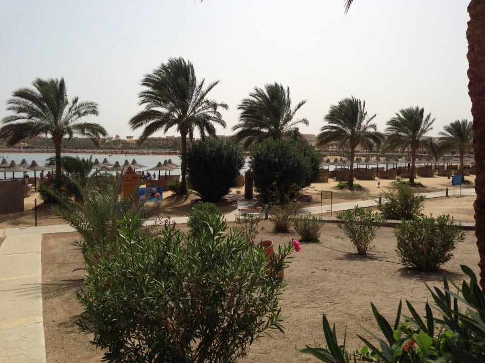 Aussicht auf die Bucht Steigenberger Coraya Beach - Adults only