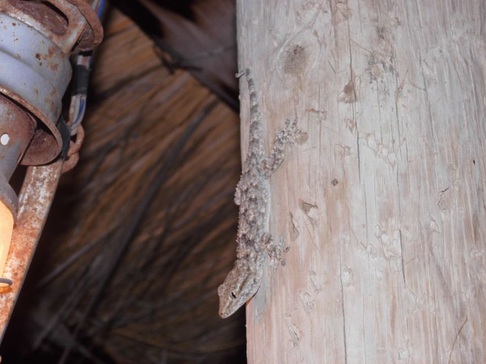 Kleine Besucher Skanes Serail Aquapark