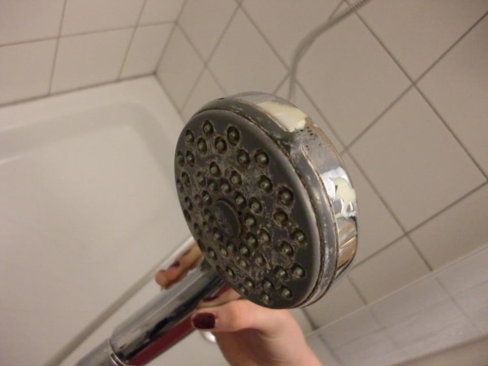 Duschkopf Hunguest Bük