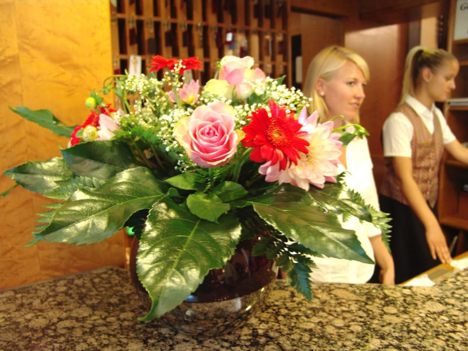 Empfang Hotel Coellner Hof