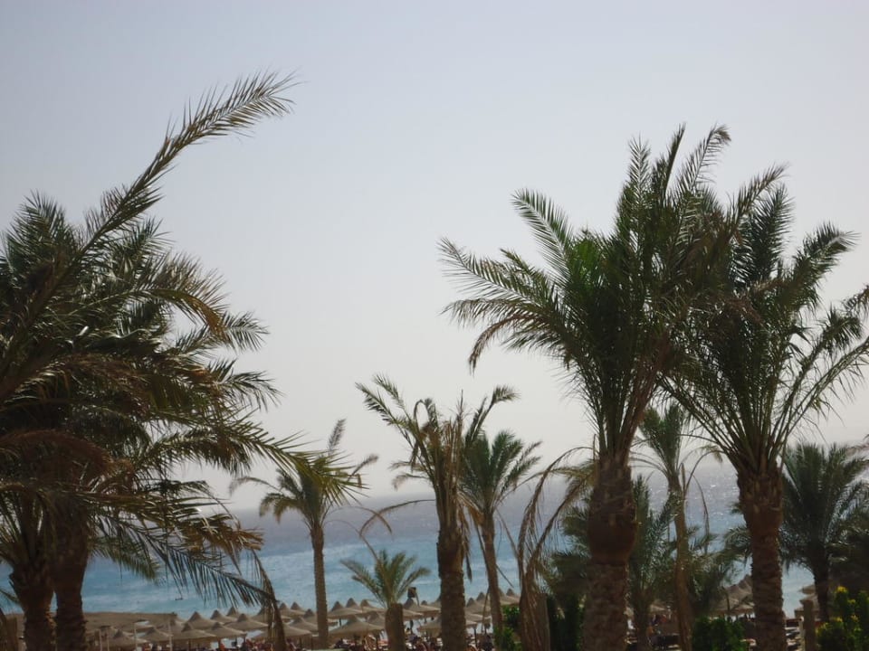 Palmen Pyramisa Beach Resort Sahl Hasheesh