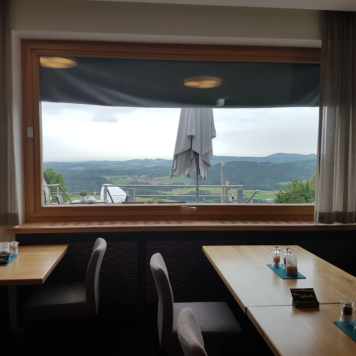 Ausblick Thula Wellnesshotel Bayerischer Wald