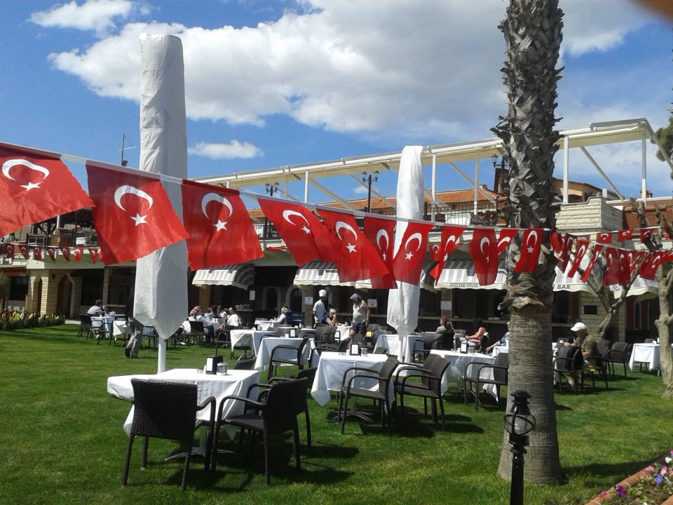 Türkischer Tag Papillon Belvil