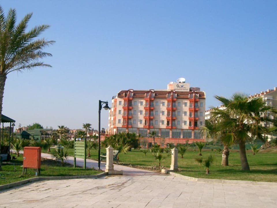 Hotel vom Strand aus Royal Atlantis Beach Hotel