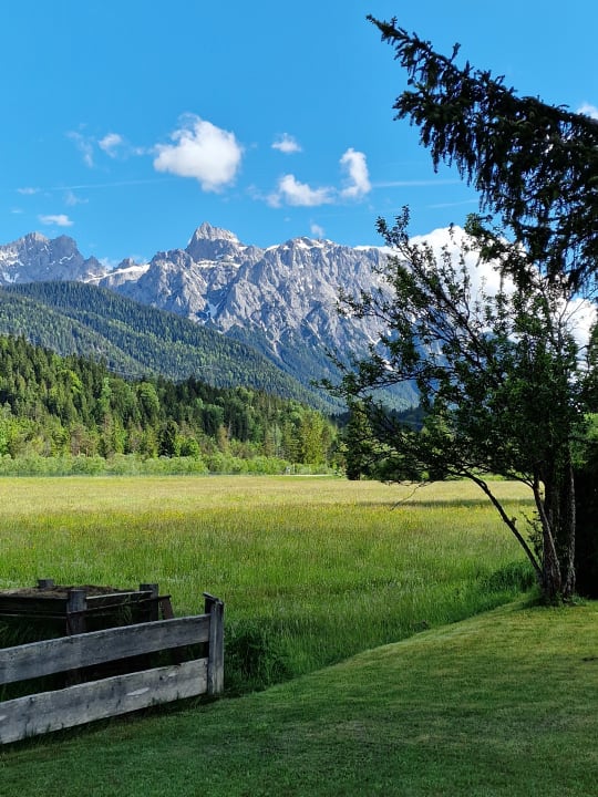 Ausblick Ferienwohnungen Alpenblick Tilly