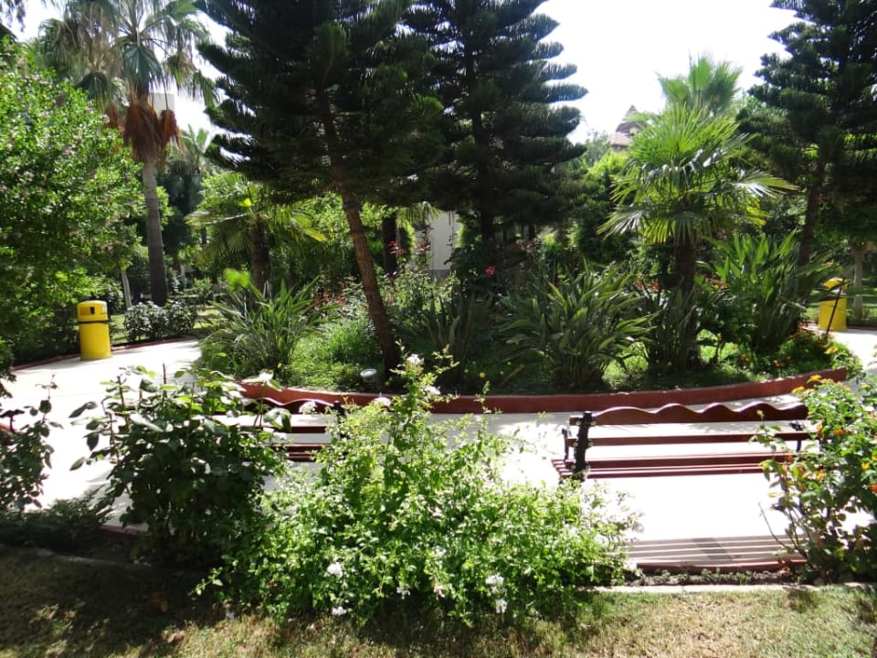 Saphir Hotel & Wille Saphir Hotel & Villas