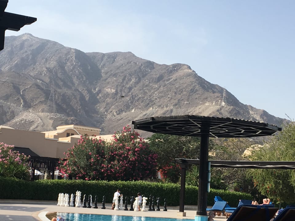 Pool Miramar Al Aqah Beach Resort