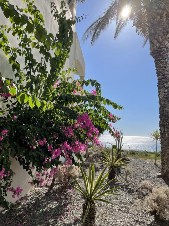 Gartenanlage Rodos Princess Beach Hotel & Spa