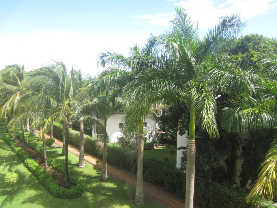 Ausblick Hotel Riu Palace Riviera Maya