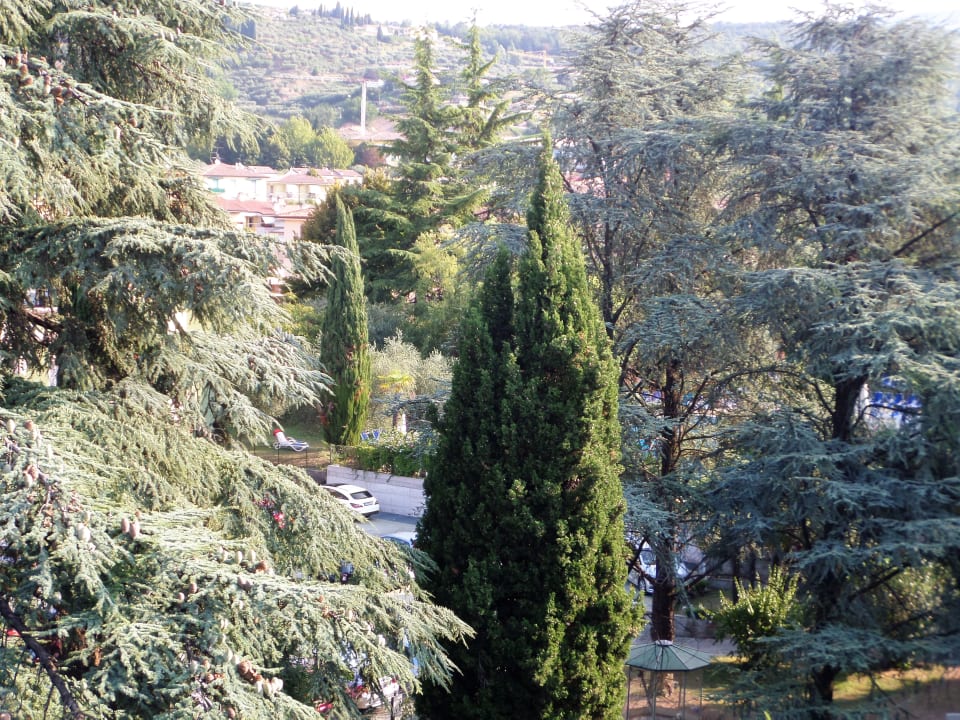 Ausblick Hotel Palme & Suite