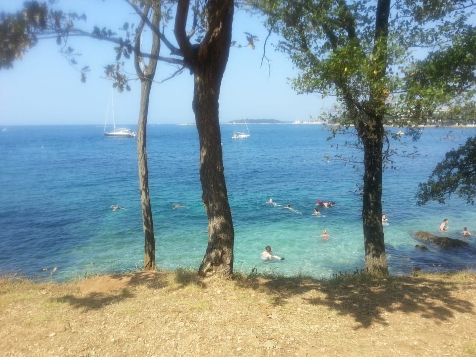 Meer Porec Apartments Astra