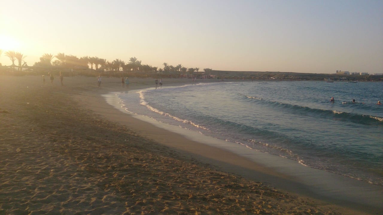 Strand am Abend Malikia Resort Abu Dabbab