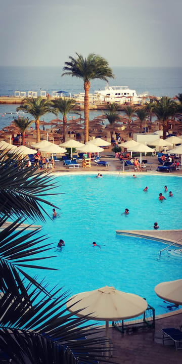 Ausblick Beach Albatros Resort