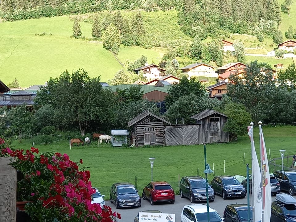Ausblick Hotel Auhof