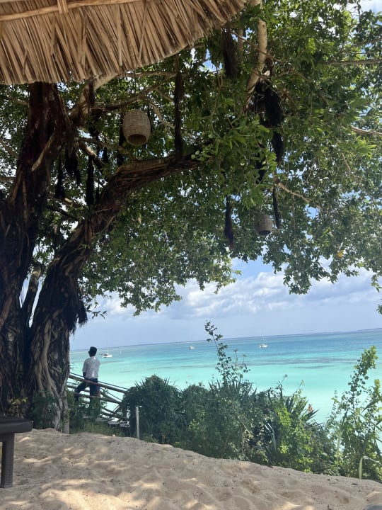 Ausblick Hotel Riu Palace Zanzibar