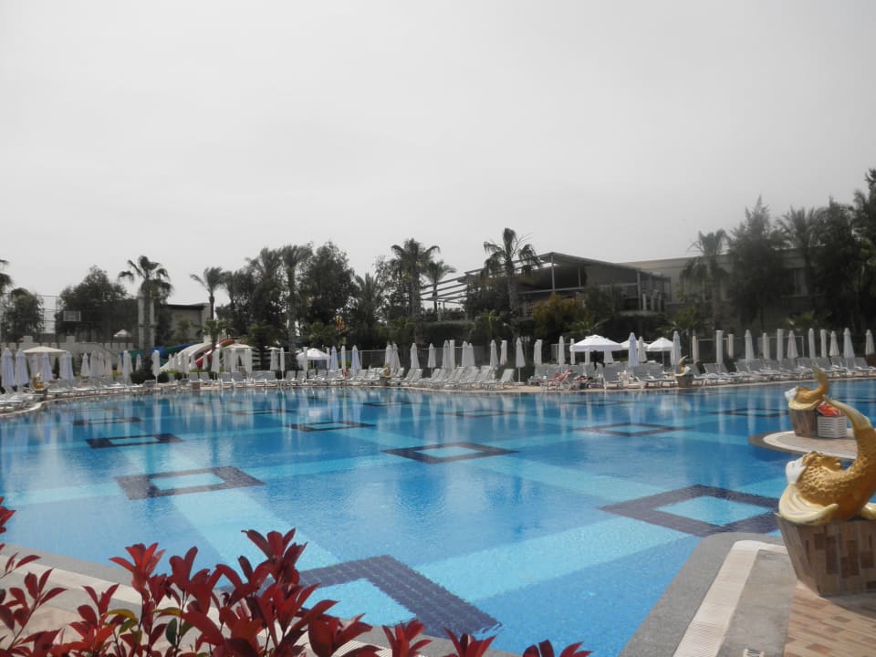 Nur ein Pool von 5 Hotel Delphin Imperial