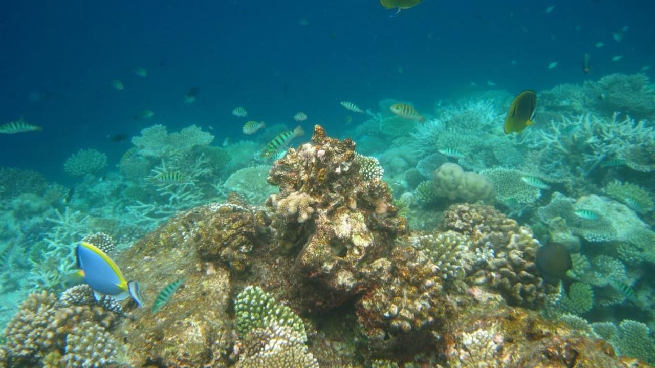 Riff Thulhagiri Island Resort Thulhagiri Island Resort